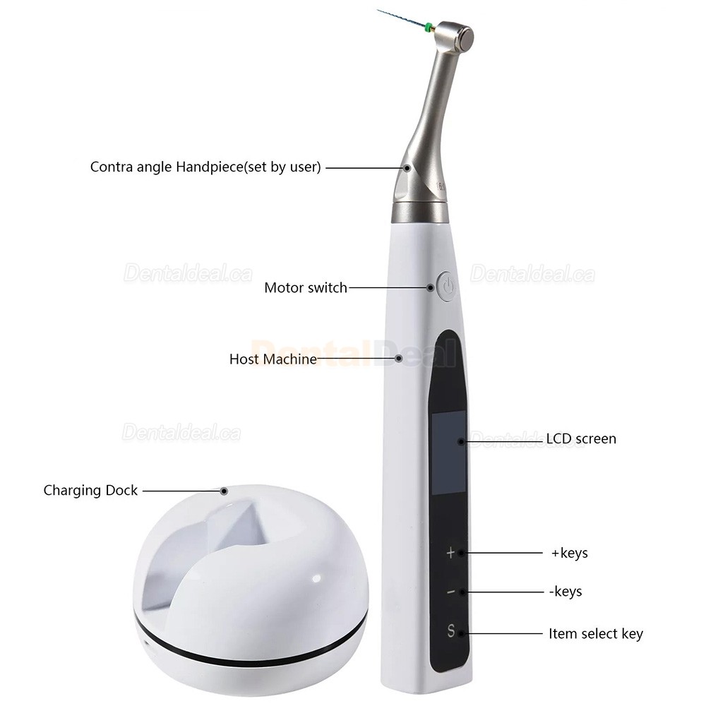XLY-Q200C Dental Cordless Endodontic Motor with Apex Locator
